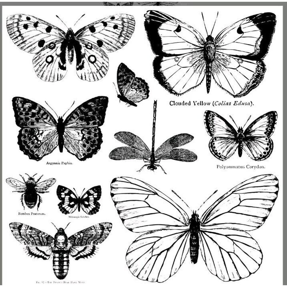 Butterflies Decor Stamp 12x12" Iron Orchid Designs Crafting Upcycling IOD